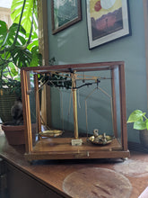Load image into Gallery viewer, Antique Brass Encased Chemists Scales