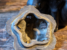 Load image into Gallery viewer, Bronze Niu Ox Zodiak Censer Incense Burner