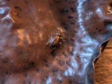 Load image into Gallery viewer, Late 19th Century Japanese Copper Tsuiki Doki Dish