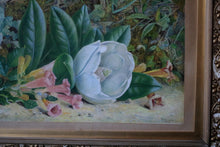 Load image into Gallery viewer, Alfred Finlayson Still Life Watercolour - Wild Flowers - 1874