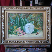 Load image into Gallery viewer, Alfred Finlayson Still Life Watercolour - Wild Flowers - 1874