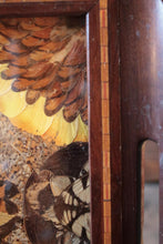 Load image into Gallery viewer, Mid-Century Brazilian Butterfly-Wing Tray With Inlaid Wood Border – Galeria Brasil, Santos – Kaleidoscopic Specimen Art, c. 1940s–60s