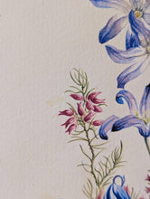 Load image into Gallery viewer, Original Botanical Watercolour By Lalia Caroline Dickson (Scottish 1913–1985), Delphiniums And Heather, 30 x 21 cm / 11.75 x 8.25 Inches