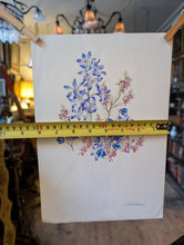 Load image into Gallery viewer, Original Botanical Watercolour By Lalia Caroline Dickson (Scottish 1913–1985), Delphiniums And Heather, 30 x 21 cm / 11.75 x 8.25 Inches