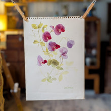 Load image into Gallery viewer, Original Botanical Watercolour Of Sweet Peas By Lalia Caroline Dickson (Scottish, 1913–1985) — 34.5 × 15 cm (13.6 × 5.9 in)