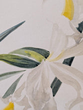 Load image into Gallery viewer, Lalia Dickson (1913–1985) Signed Botanical Study Of White Irises – Original Mid-Century Watercolour/Gouache On Paper – 38 x 57 cm