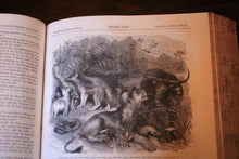 Load image into Gallery viewer, Antique Victorian Holy Bible Illustrated - Cassell Petter & Galpin - Leather Bound Gilt Spine - Over 900 Engravings - C.1860