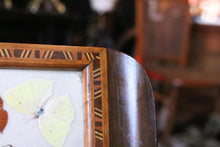Load image into Gallery viewer, Vintage Brazilian Butterfly Specimen Tray – Real Mounted Butterflies In Glazed Wooden Tray – 42.5 x 18.5 cm / 16.7” x 7.3”