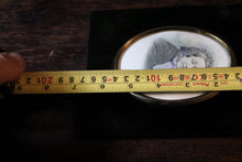 Load image into Gallery viewer, Antique Victorian Hand-Coloured Portrait Photograph - Ebonised Frame - c.1870