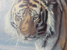 Load image into Gallery viewer, 1970&#39;s Vintage Tiger Print in Teak Frame
