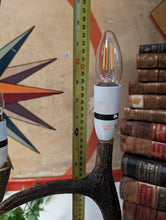 Load image into Gallery viewer, Pair of Mid Century Antler Table Lamps
