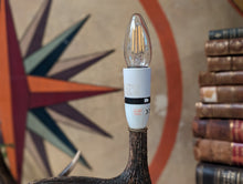 Load image into Gallery viewer, Pair of Mid Century Antler Table Lamps
