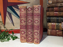 Load image into Gallery viewer, The Plays of Shakespeare -  Cassel - Antique Leather Bound Books
