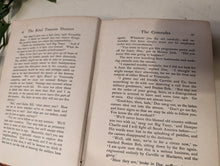 Load image into Gallery viewer, The Rival Treasure Hunters: A Tale of the Debatable Frontier of British Guiana - First Edition Antique Cloth Bound Book
