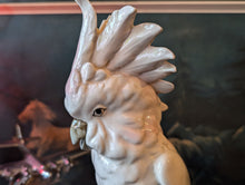 Load image into Gallery viewer, Mid Century Royal Dux Porcelain Figure of a Cockatoo
