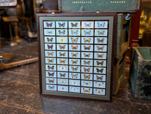 Load image into Gallery viewer, 1920&#39;s Framed Wills Cigarette Cards - Butterflies
