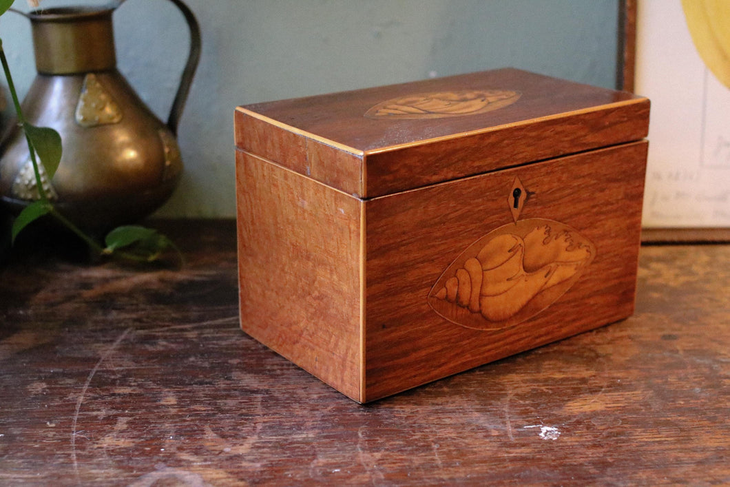 Antique Georgian Mahogany Tea Caddy