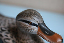 Load image into Gallery viewer, Vintage Hand Painted Carved Wooden Mallard Duck
