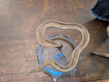 Load image into Gallery viewer, Pair of early 20th.C Brass &amp; Enamel Cobra Tazzas / Trinket Dish&#39;s
