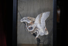 Load image into Gallery viewer, Original Ohara Koson Japanese Woodblock Print - Owl and Crescent Moon
