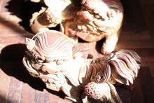 Load image into Gallery viewer, Vintage Chinese Teak Dog of Foo Carving
