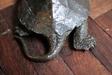 Load image into Gallery viewer, Antique Chinese Bronze Turtle with Seal Mark
