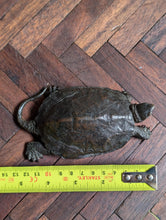 Load image into Gallery viewer, Antique Chinese Bronze Turtle with Seal Mark
