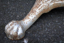 Load image into Gallery viewer, Victorian Cast-Iron Bicycle Stand by Robertson of Kirkcaldy — Shopfront Cycle Rack with Paw Feet
