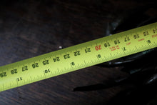 Load image into Gallery viewer, Salter’s No. 50 Family Scale - Cast Iron Kitchen Scale - C. 1900 - Working
