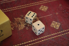 Load image into Gallery viewer, Victorian Book-Form Backgammon &amp; Draughts Set — Faux “Two-Volume” Library Boards — Complete With Counters and Dice
