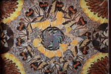 Load image into Gallery viewer, Mid-Century Brazilian Butterfly-Wing Tray With Inlaid Wood Border – Galeria Brasil, Santos – Kaleidoscopic Specimen Art, c. 1940s–60s
