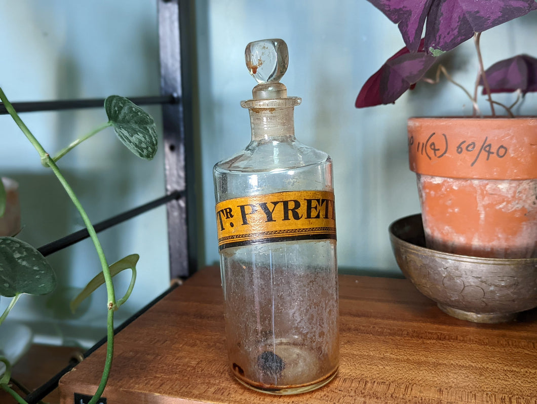 1930's Vintage Apothecary Bottle / Jar - PYRETH