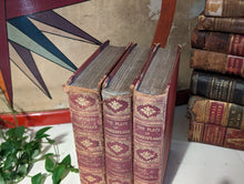 Load image into Gallery viewer, The Plays of Shakespeare -  Cassel - Antique Leather Bound Books
